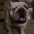 Shonda Waltenbaugh's profile image