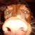 Marie Henke's profile image