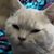 Kaurie Debra Lea Jones's profile image