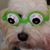 Carla Dalton's profile image