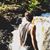 Curtis Piek's profile image