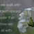 Susan Erdman Doroba's profile image