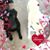 Sherry Lynn Wilson's profile image
