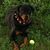 Ann Masland's profile image