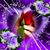 Joyce Ladd's profile image