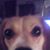 Joyce Peters's profile image