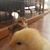 Christine Ouellette's profile image