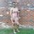 Whitney Ligon's profile image