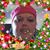 Marcy Alleen Britan's profile image