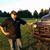Jason Hoffman's profile image