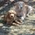 Marilyn Buda Stauffer's profile image