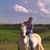 Tim Winstead's profile image