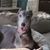 Karen Parker Rohe's profile image