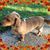 Denise Hudson's profile image