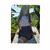 Arisbeth Lugo's profile image