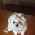 Karen Harris's profile image