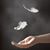 Tammi Sharp Nielson's profile image