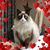 Lisa Bell Schnitzker's profile image