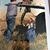 Sharon Nold Oestreich's profile image