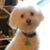 Sandra N. Genson's profile image