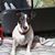 Linda Surrem's profile image