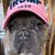 Amy Dooley Lockmer's profile image
