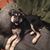 Scott Winningham's profile image