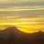 Melissa Crispen's profile image