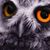 Jackie Ernsberger Weiss's profile image