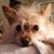 Bev Rogers's profile image