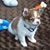 Lori Smith-Hoyt's profile image