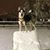 Jose Manuel Miranda's profile image