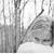 Dani Emerson's profile image