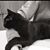 Erin Eacovalle Cookson's profile image
