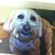 Irene DeRosa-Parsons's profile image