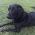 Joanne Weibel's profile image