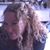 Therese Massa's profile image