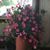 Judy Oakeson Dohl's profile image