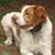 Brenda Dean's profile image