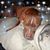Dawn Gray's profile image