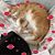Joann Fuhs's profile image