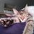 Janet Greenley's profile image
