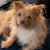 Susan Taylor Guinn's profile image