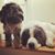 Jennifer Fredricks's profile image