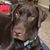 Mike Messick's profile image
