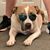 Becka Clanton's profile image