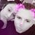 Cody N Janet Cornelius's profile image