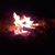 Julie Prusack's profile image