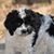 Deborah G Gorrell's profile image