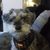 Pam De K's profile image